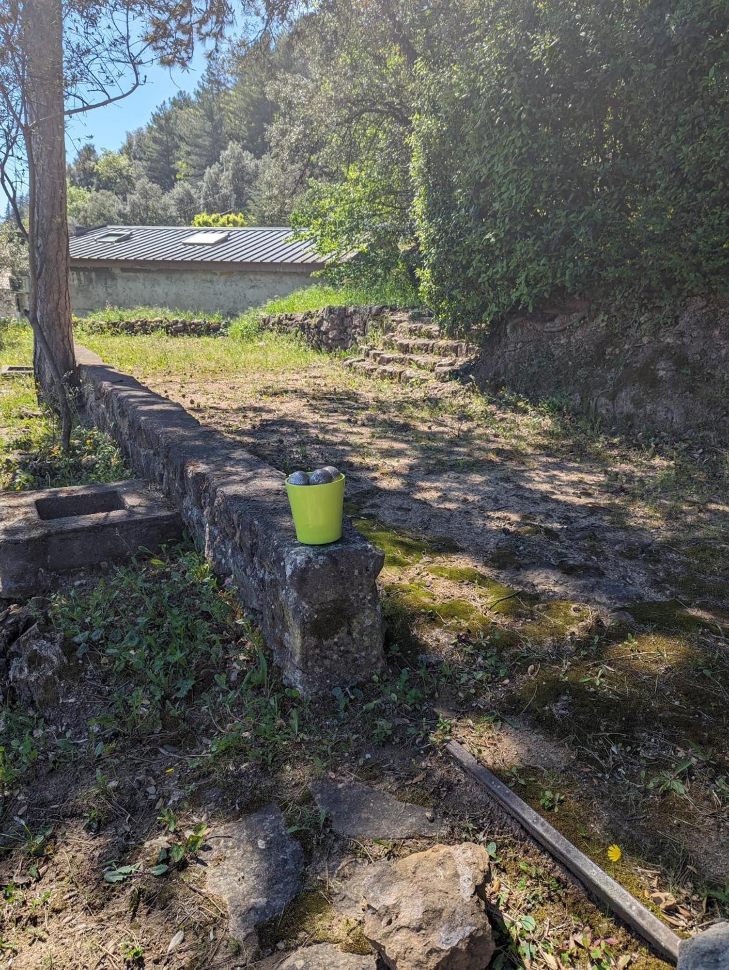 Auberge Des Pins أوبينا المظهر الخارجي الصورة